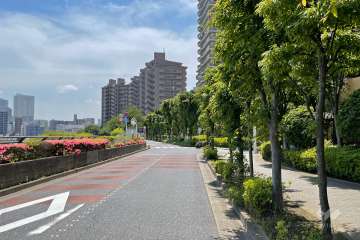 敷地北側の前面道路