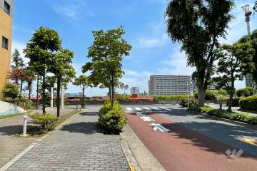 敷地東側の前面道路