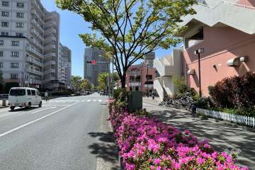 敷地南側の前面道路（東側から）