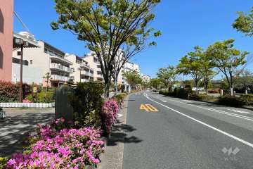 敷地南側の前面道路（西側から）