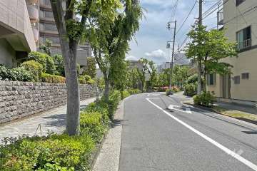 敷地の南側前面道路（西側から）