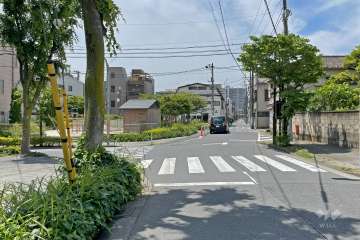 敷地の西側前面道路（北側から）