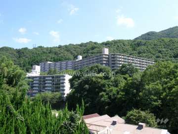 左が1号館、右が2号館、奥が3号館（周囲を山に囲まれています）