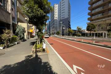 敷地の東側前面道路（南側から）