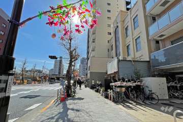 敷地の東側前面道路は国道4号線です（北側から）。
