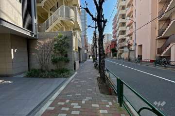 敷地南側の前面道路（西側から）