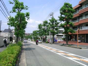 敷地南側のバス通り