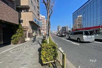 敷地東側の前面道路（南側から）