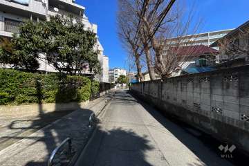 敷地南東側の前面道路（南西側から）