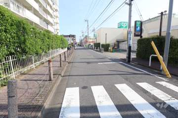 敷地西側の前面道路（北側から）