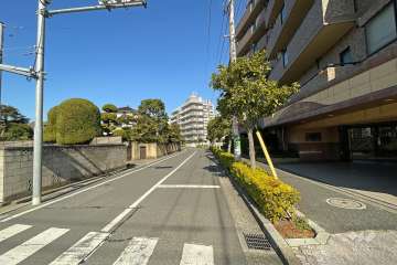 敷地西側の前面道路（南側から）