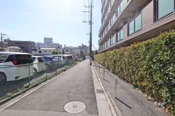 敷地南側の前面道路（東側から）