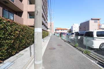 敷地南側の前面道路（西側から）