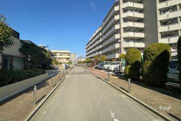 敷地西側の前面道路（南側から）