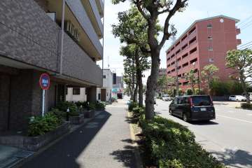 敷地南西側の前面道路（北西側から）