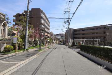 敷地南側の前面道路（西側から）