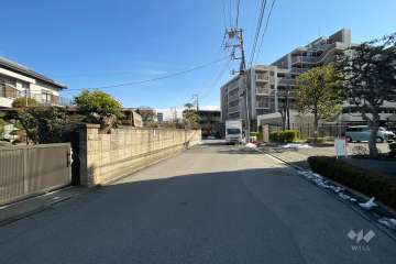 敷地北側の前面道路（西側から）