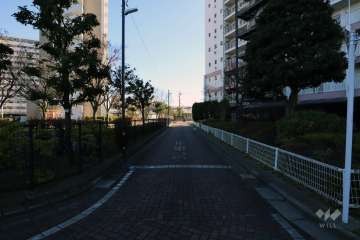 敷地東側の前面道路(北側から)