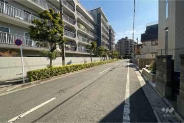 敷地南西側の前面道路（北西側から）