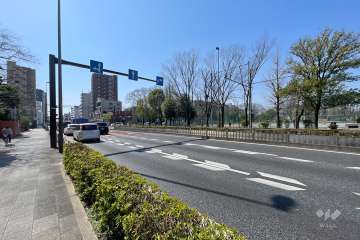 敷地西側の前面道路