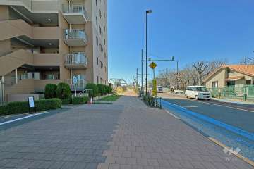 敷地の北西側前面道路（北東側から）