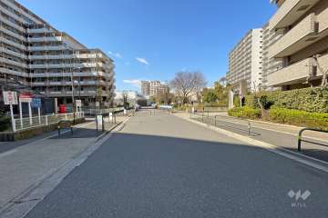 敷地東側の前面道路（南側から）