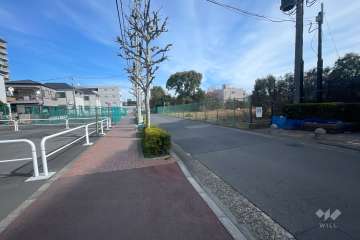 敷地南側の前面道路