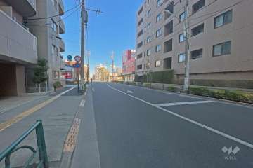 敷地の西側道路（北側から）