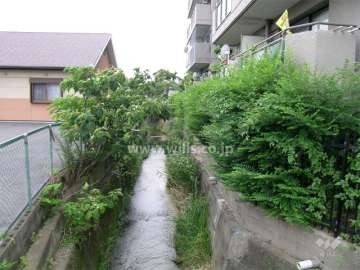 敷地の南側には水路が流れています。