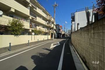 敷地南側の前面道路（西側から）