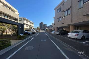 敷地北側の前面道路（西側から）