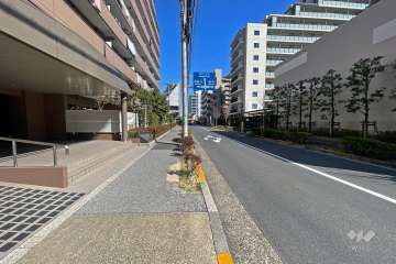 敷地南側の前面道路（西側から）