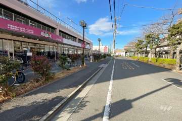 敷地の南側前面道路（東側から）