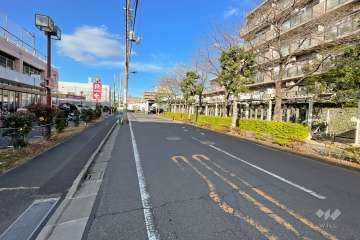 敷地の西側前面道路（南側から）