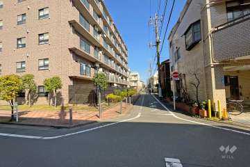 敷地東側の前面道路（南側から）