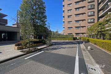 敷地の南側前面道路（東側から）