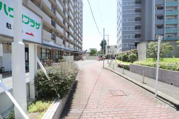 敷地西側の前面道路　