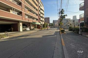 敷地西側の前面道路（北側から）