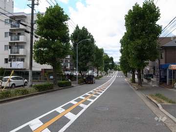 敷地北側の街路樹のきれいなバス通り