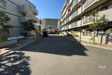 敷地の南側前面道路（東側から）