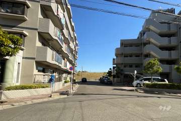 敷地の西側前面道路（北側から）