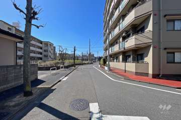 敷地南側の前面道路（東側から）