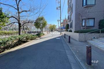 敷地東側の前面道路