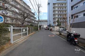 敷地北側の前面道路(西側から)