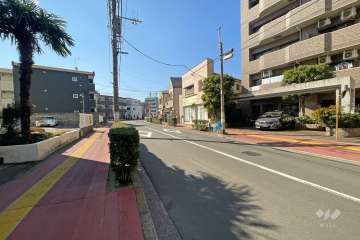 敷地南東側の前面道路（北東側から）