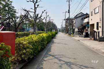 敷地の北側前面道路（東側から）