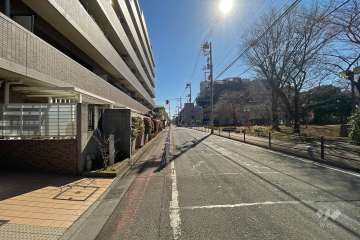 敷地西側の前面道路（北側から）