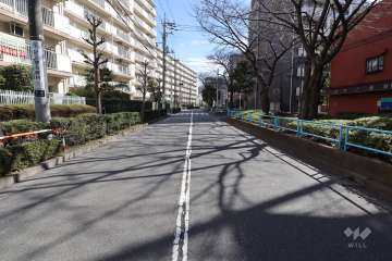 敷地南西側の前面道路（西側から）
