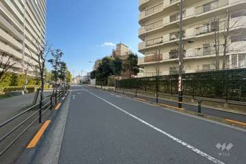 敷地の北東側前面道路（北西側から）