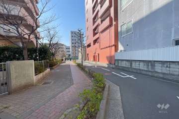 敷地東側の前面道路（北側から）